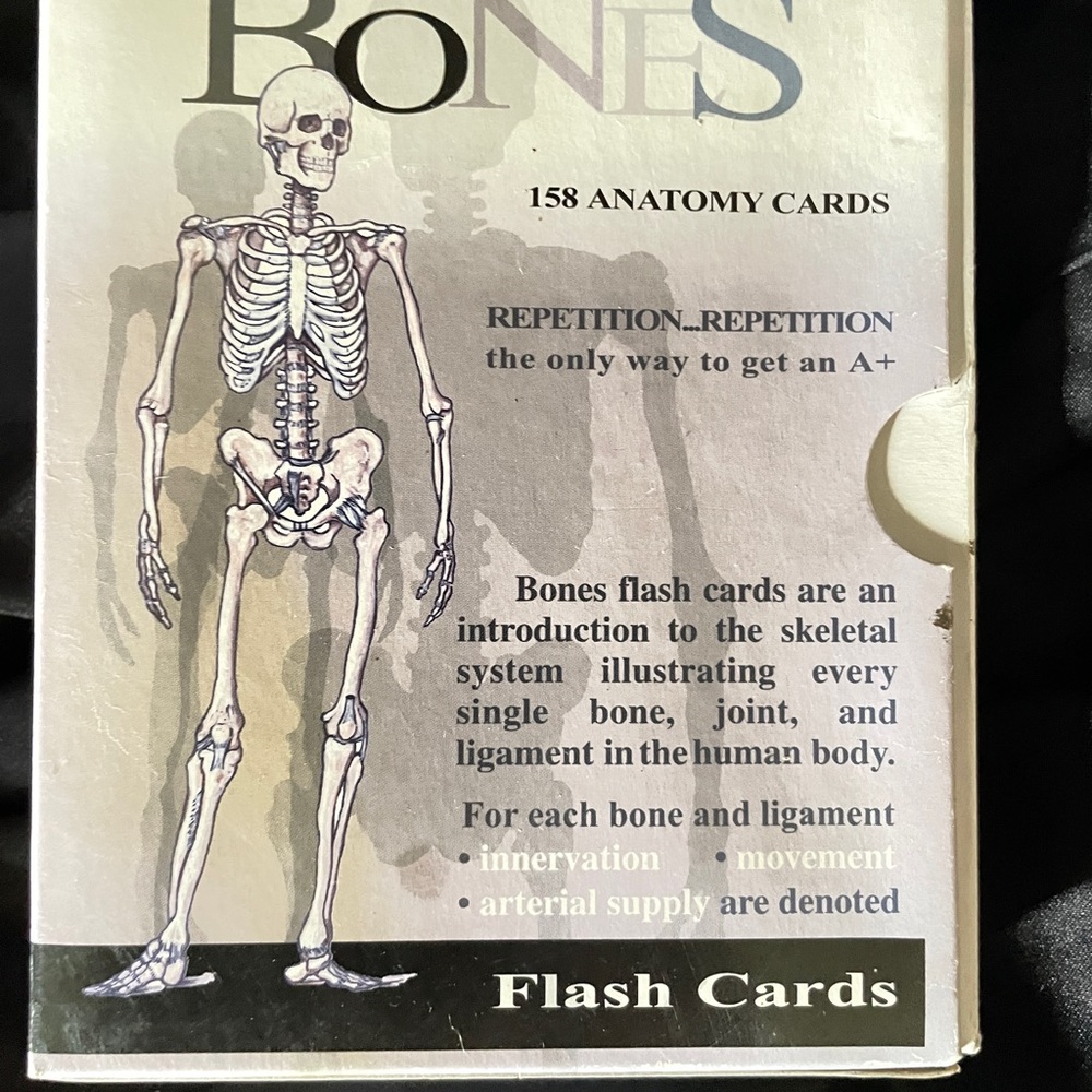 Bones flashcards